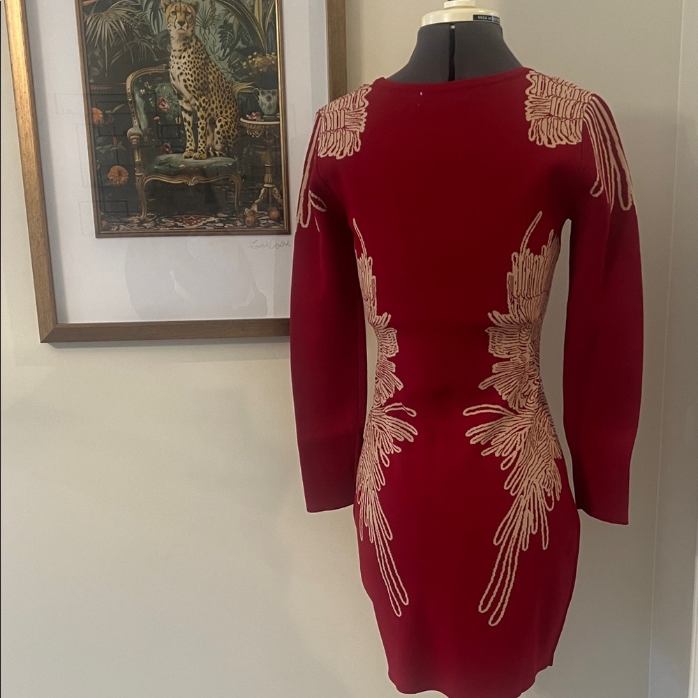 Aryeh Red Long Sleeve Dress with Gold Embroidery - Picture 4 of 4